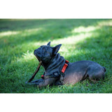 Mpet WILD harness for small dogs, adjustable polyester - British product