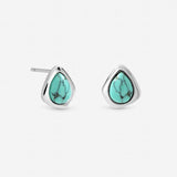Argos Inicio Silver Plated Turquoise Polished Stud Earrings- Buy online at McGrocer