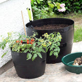 Argos Whitefurze 50cm All-Purpose Barrel Planter - Black- Buy online at McGrocer