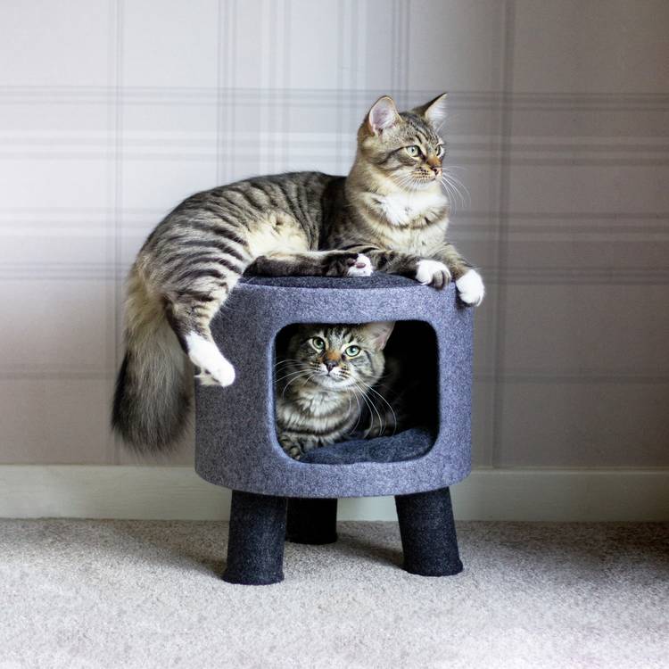 Rosewood charcoal felt cat stool H38cm (British brand)