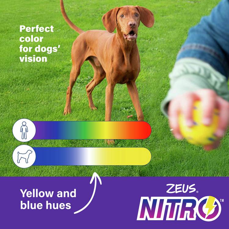 Zeus NITRO weighted dog ball large 7.6cm - British product