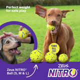 Zeus NITRO weighted dog ball large 7.6cm - British product