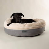 Argos Scruffs Ellen Donut Dog Bed Extra Large- Buy online at McGrocer