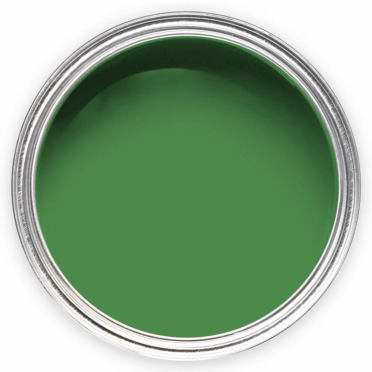 Annie Sloan Schinkel Green wall paint 2.5L (British brand)