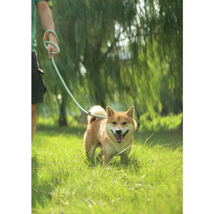 M-PETS eco dog lead and collar set blue medium - British product