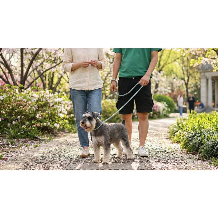 M-PETS eco dog lead and collar set blue medium - British product