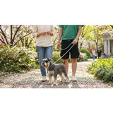 M-PETS eco dog lead and collar set blue medium - British product