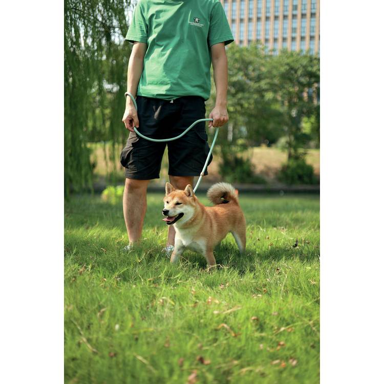 M-PETS eco dog lead and collar set blue medium - British product