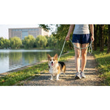 M-PETS eco dog lead and collar set blue medium - British product