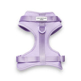 NAKD dog harness Parma Violets small, imported from the UK