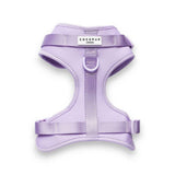 Argos Cocopup NAKD Parma Violets Dog Harness - Small- Buy online at McGrocer