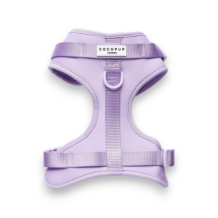 NAKD dog harness Parma Violets small, imported from the UK
