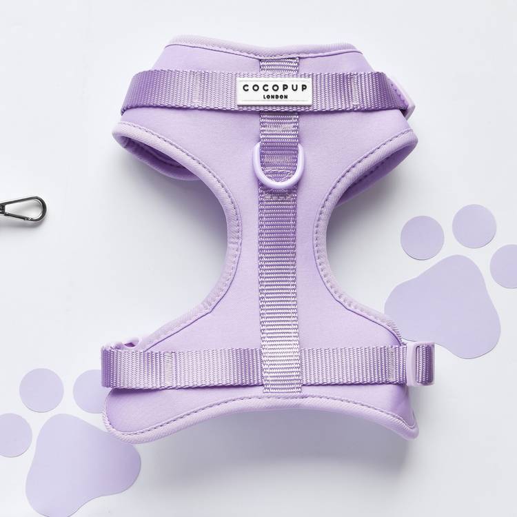 NAKD dog harness Parma Violets small, imported from the UK