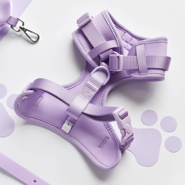 NAKD dog harness Parma Violets small, imported from the UK