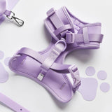 NAKD dog harness Parma Violets small, imported from the UK