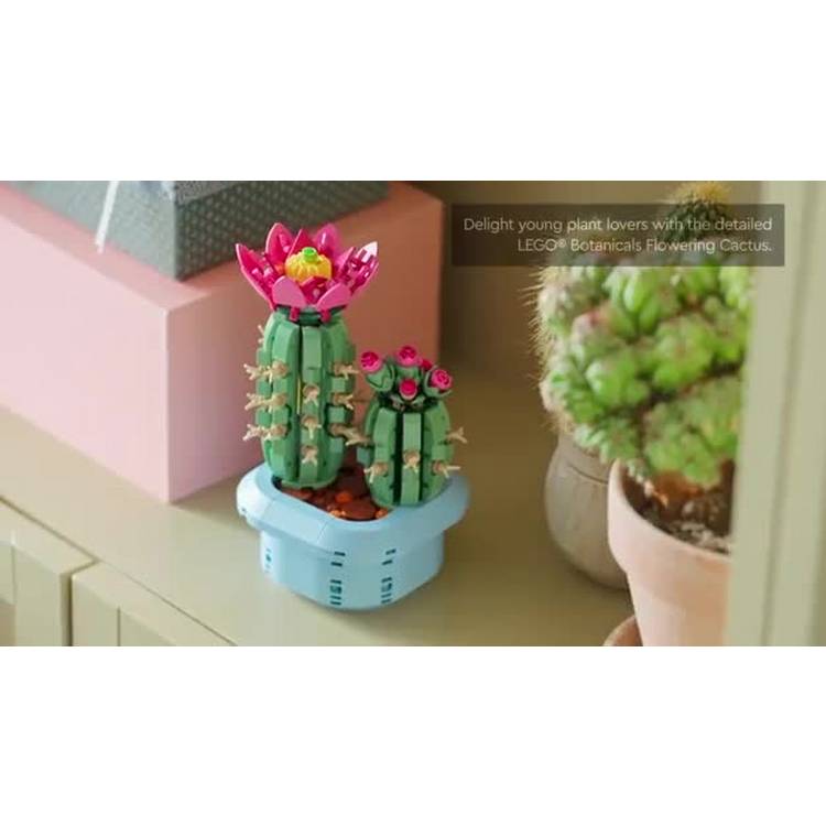 LEGO 11509 Flowering Cactus building set 482 pieces (British brand)