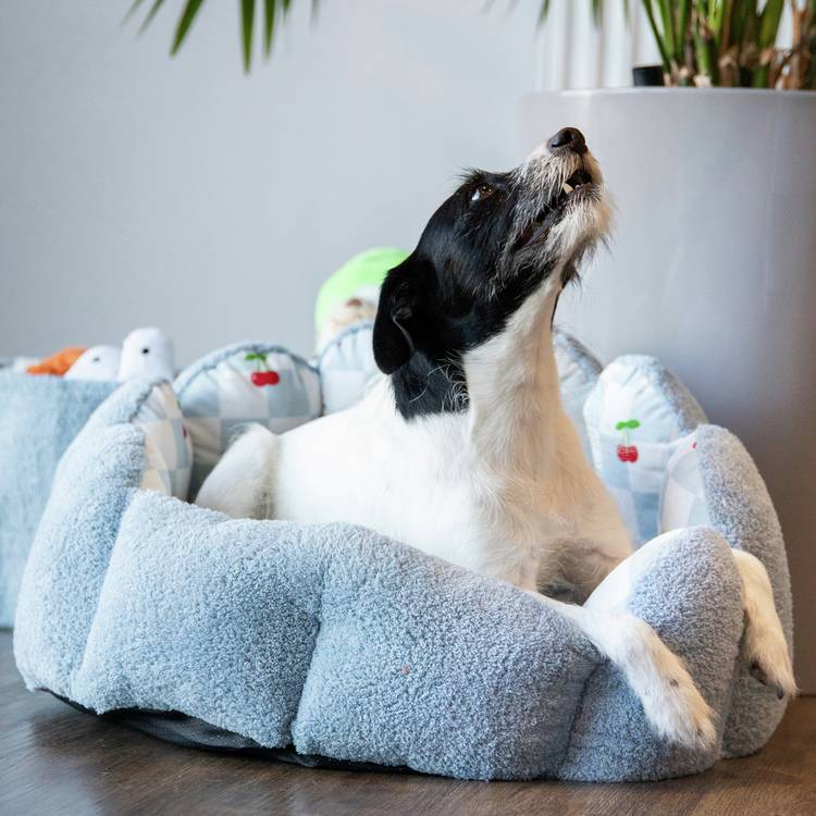 Rosewood Cherry Pop scalloped donut dog bed small, UK version