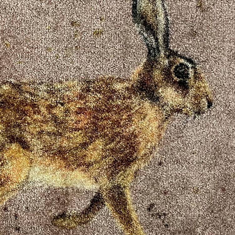 Bree Merryn hare line brown doormat 50x75cm (British brand)