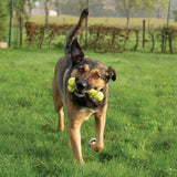 Zeus Bendy Bone dog toy 16cm, imported from the UK