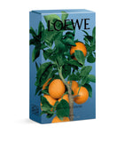 LOEWE orange blossom room spray 150ml, UK version