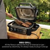 Ninja Electric BBQ Grill and Smoker Grey with cover (British brand)