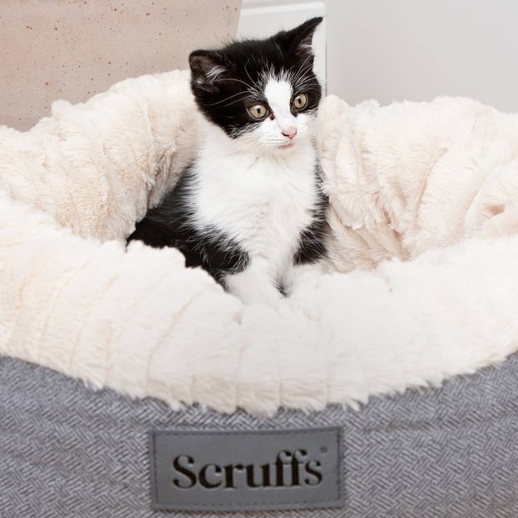 Scruffs Ellen donut dog bed medium 55cm - British product