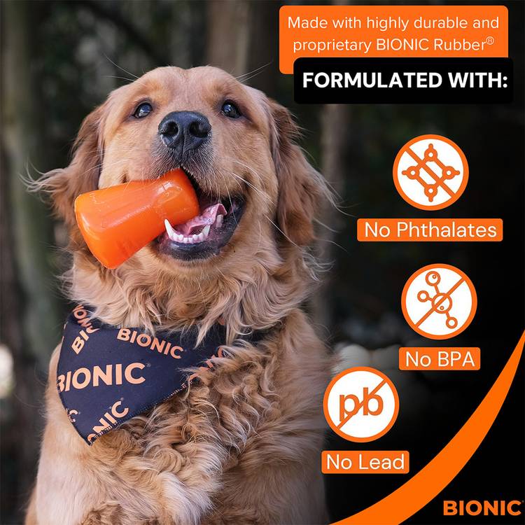 Bionic treat shaker large dog chew toy orange - British product
