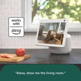 Blink Mini Pan-Tilt security camera pack of 2, UK version