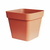 Argos Ivyline Cleo Square Planter with Wheels Terracotta 40cm- Buy online at McGrocer