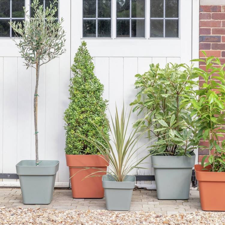 Ivyline Cleo Square Planter with Wheels Terracotta 40cm - British product