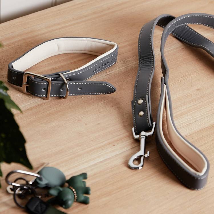 Banbury & Co grey dog collar lead set (British brand)