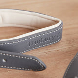 Banbury & Co grey dog collar lead set (British brand)