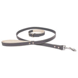 Banbury & Co grey dog collar lead set (British brand)