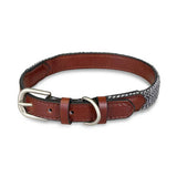 Petface herringbone leather dog collar small, imported from the UK