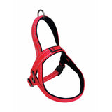 Argos KONG Norwegian Dog Harness Medium- Buy online at McGrocer