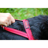 KONG Norwegian dog harness medium, imported from the UK