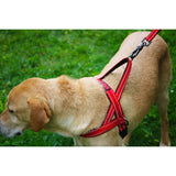 KONG Norwegian dog harness medium, imported from the UK