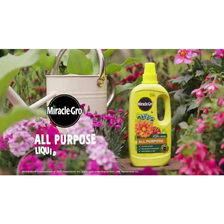 Miracle-Gro liquid plant food 2.5L, UK version