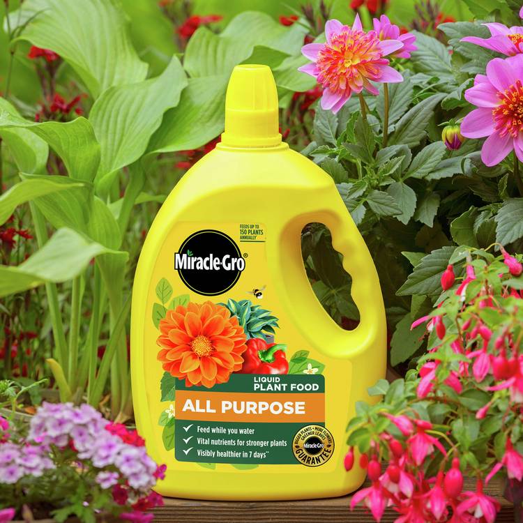 Miracle-Gro liquid plant food 2.5L, UK version