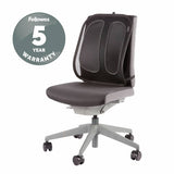 Fellowes mesh back support for office chairs, UK version