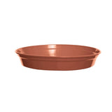 Argos Whitefurze Terracotta Plant Pot Saucer 19cm- Buy online at McGrocer