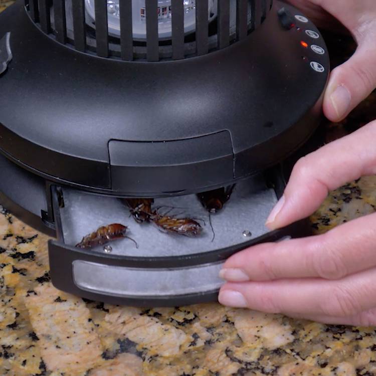 JML rechargeable double insect zapper, imported from the UK