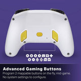 PowerA wireless controller MarioKart edition (British brand)