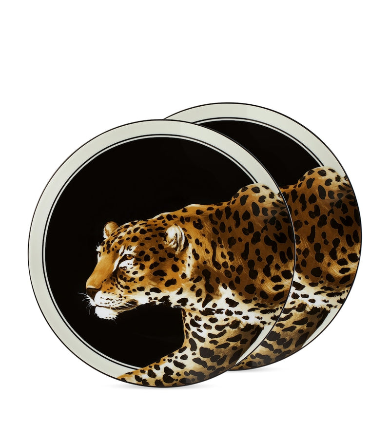 Dolce&Gabbana set of two leopard dinner plates 26cm (British brand)