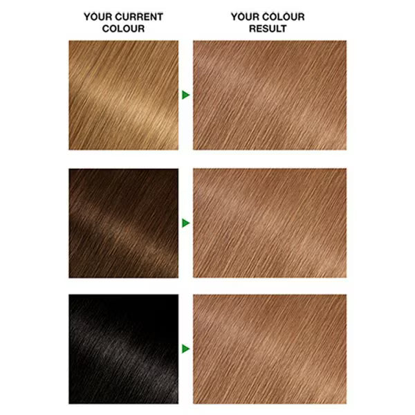 Garnier Nutrisse 6.3 Golden Light Brown Hair Dye, UK version