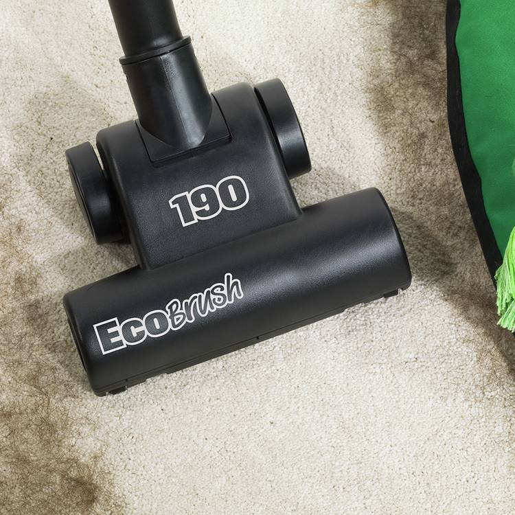 Henry Pet corded bagged cylinder vacuum cleaner (British brand)