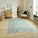 Argos Think Rugs Washable Coral Green Flatweave Rug - 76x150cm- Buy online at McGrocer