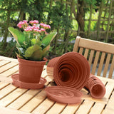 Argos Whitefurze Terracotta Saucer Set for 3-inch Pots- Buy online at McGrocer