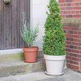 Ivyline Cleo plastic planter terracotta 40cm - British product