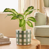 Argos Argos Home Green Gingham Ceramic Planter- Buy online at McGrocer